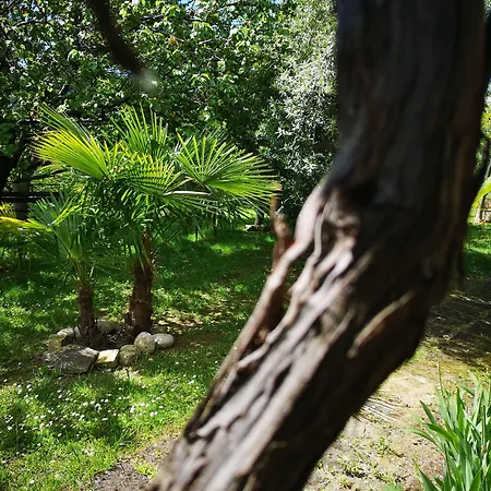 La Casa Sul Colle Moresco